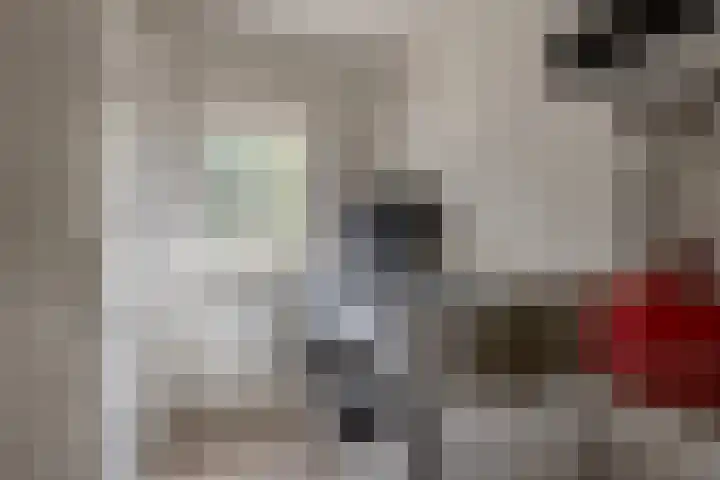 Hoogstraat 38 Berlicum thumbnail 36