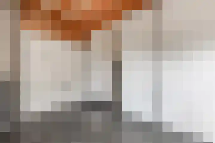 Hoogstraat 38 Berlicum thumbnail 37