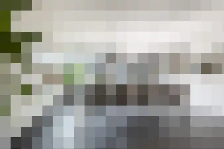Hoogstraat 38 Berlicum thumbnail 4