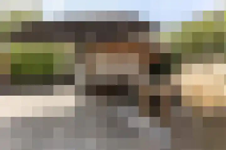 Hoogstraat 38 Berlicum thumbnail 41
