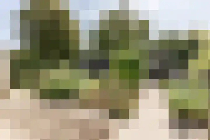 Hoogstraat 38 Berlicum thumbnail 46