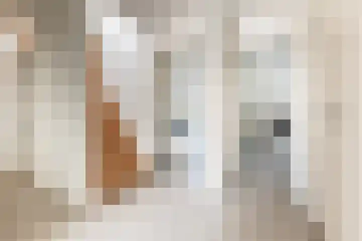 Hoogstraat 38 Berlicum thumbnail 54
