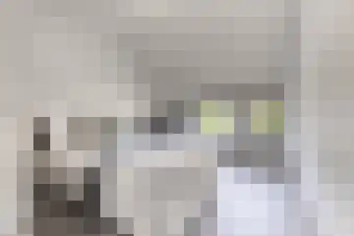 Hoogstraat 38 Berlicum thumbnail 55