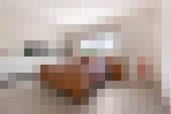 Hoogstraat 38 Berlicum thumbnail 60
