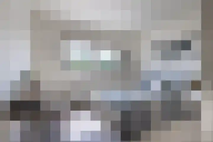 Hoogstraat 38 Berlicum thumbnail 64