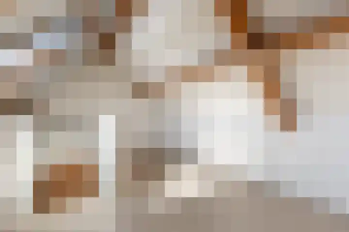 Hoogstraat 38 Berlicum thumbnail 66