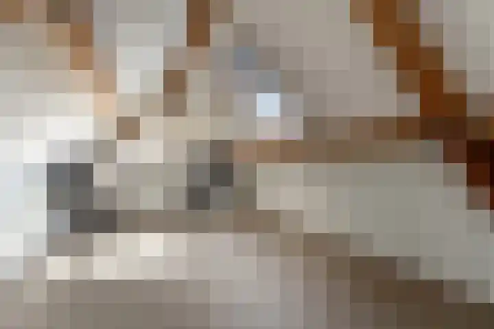 Hoogstraat 38 Berlicum thumbnail 67
