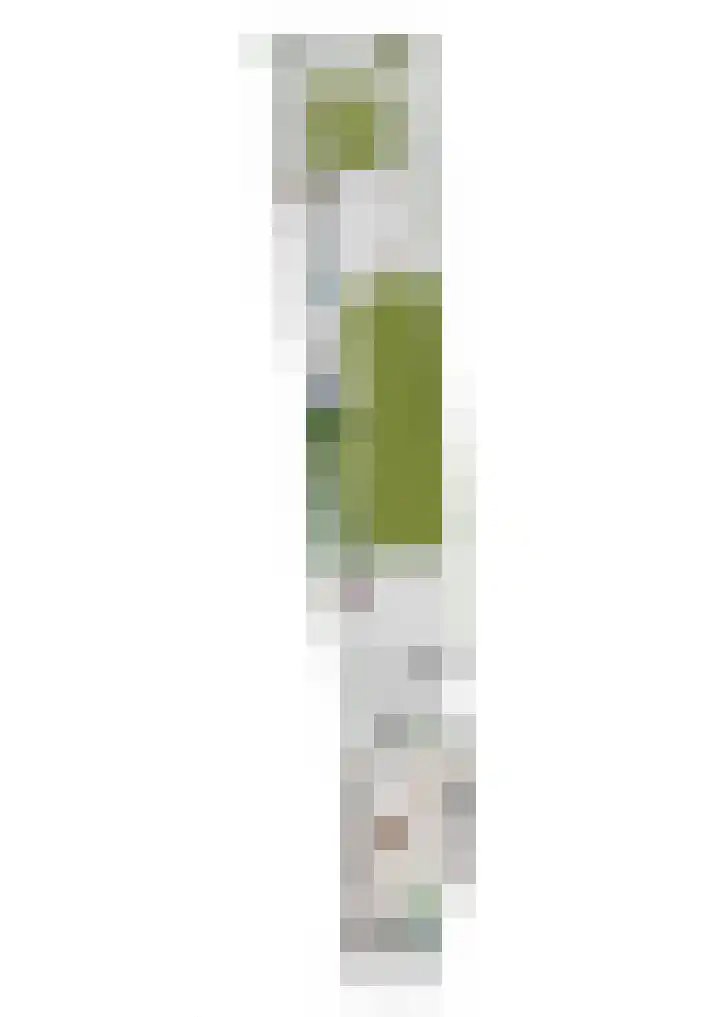 Hoogstraat 38 Berlicum thumbnail 70