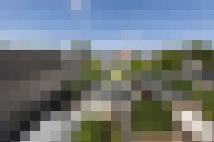 Hoogstraat 38 Berlicum thumbnail 8
