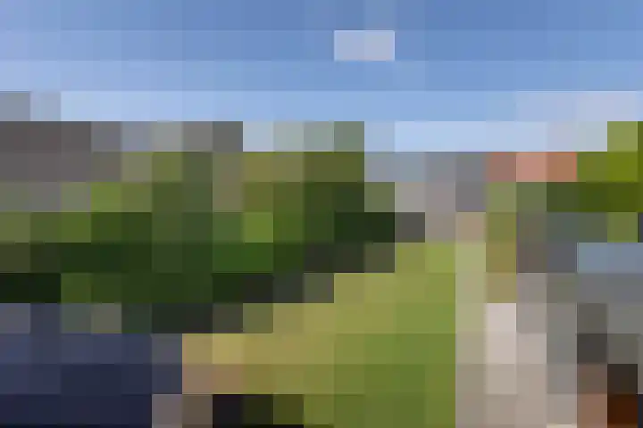 Hoogstraat 38 Berlicum thumbnail 9
