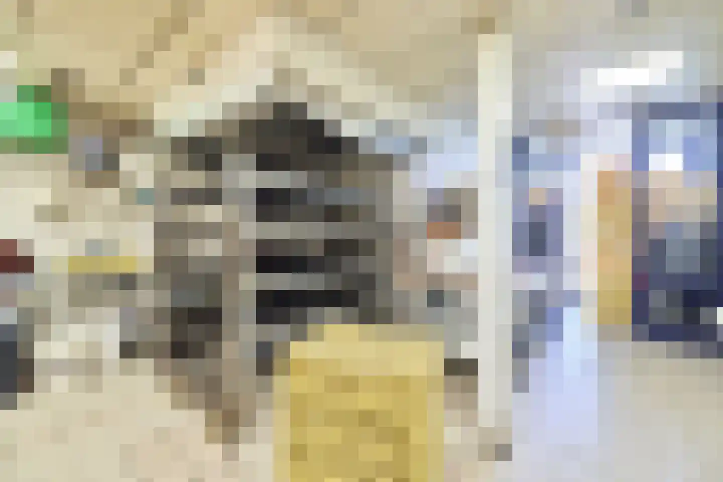 Hoogstraat 38 Montfoort thumbnail 11