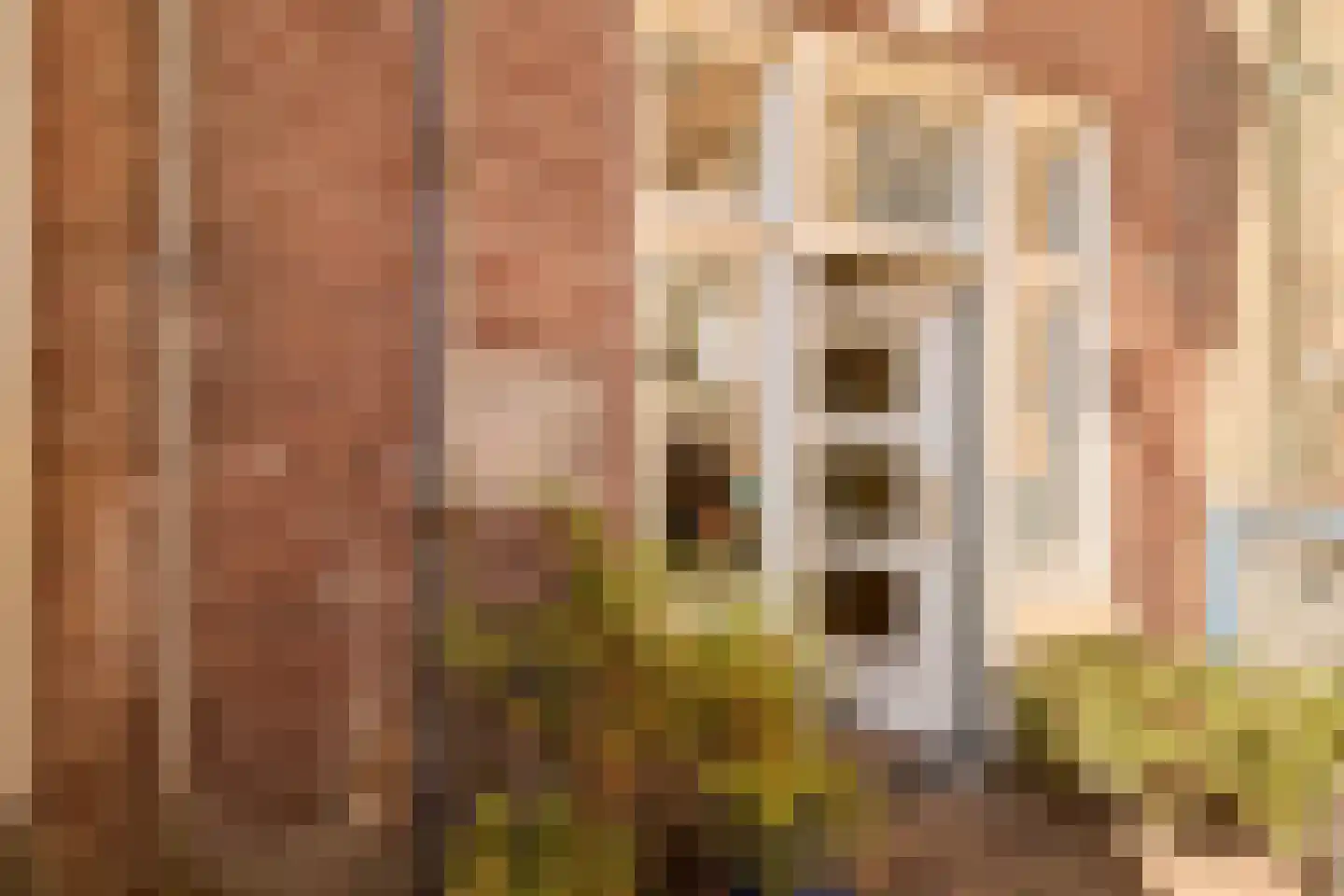 Hoogstraat 38 Montfoort thumbnail 7