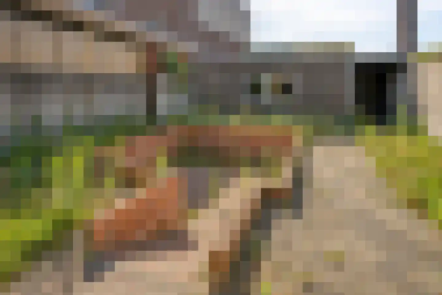 Hoogstraat 397 B Eindhoven thumbnail 33