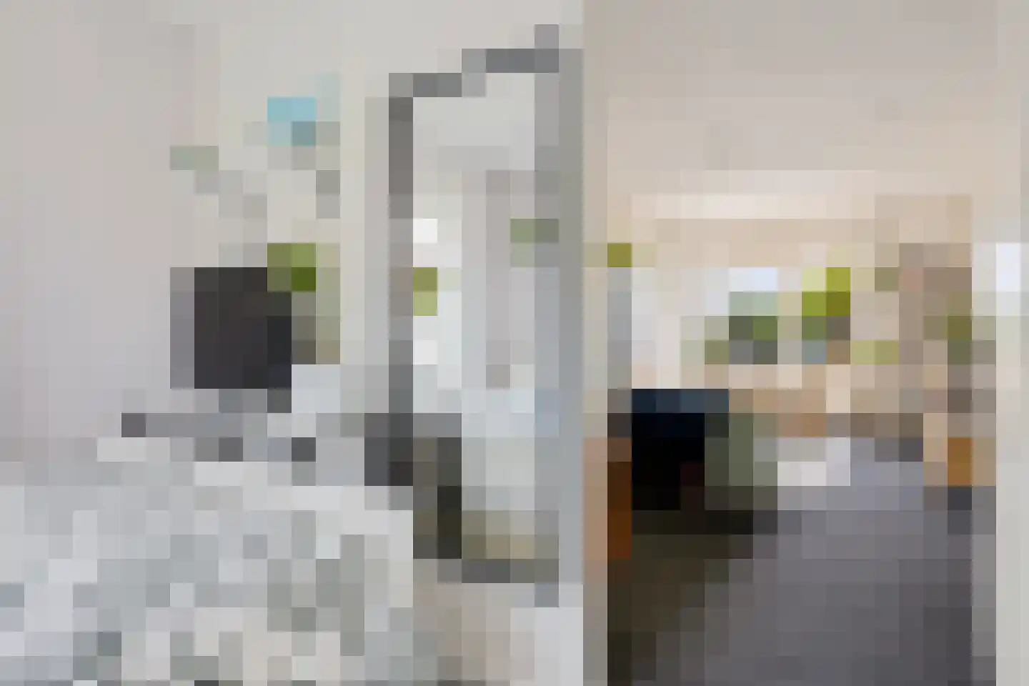 Hoogstraat 399 A Eindhoven thumbnail 10
