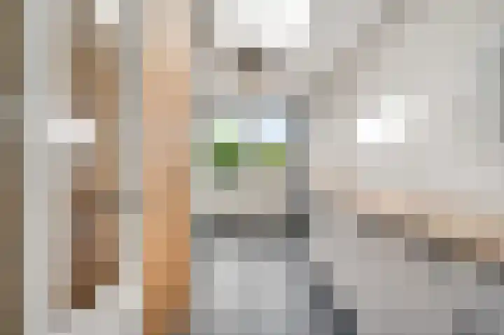 Hoogstraat 4 Ell thumbnail 19