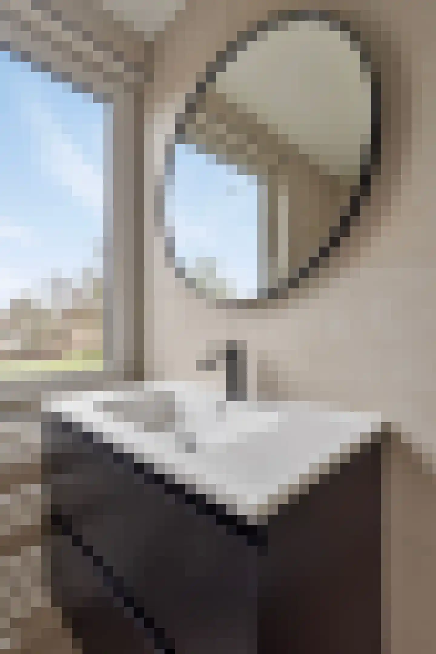 Hoogstraat 405 Eindhoven thumbnail 20