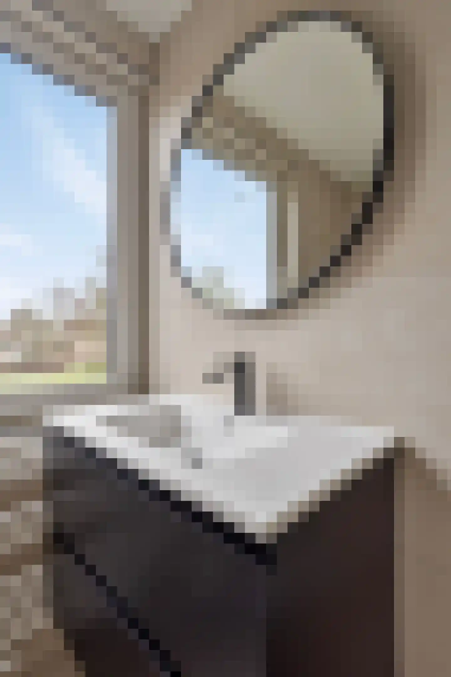 Hoogstraat 405 Eindhoven thumbnail 20