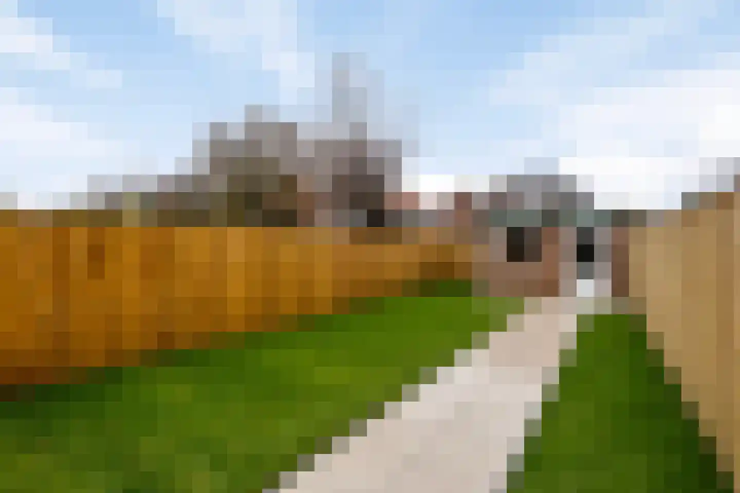 Hoogstraat 405 Eindhoven thumbnail 31