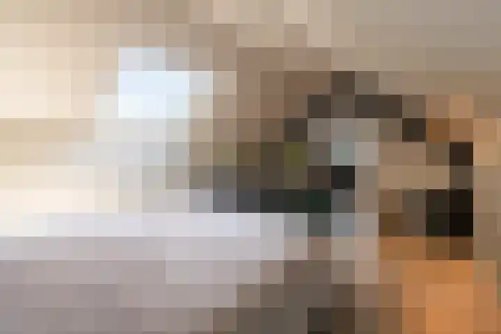 Hoogstraat 41 Echt thumbnail 53