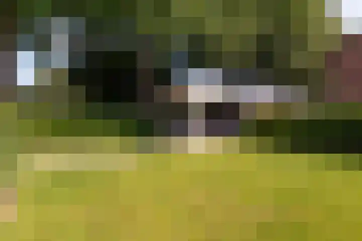 Hoogstraat 41 Echt thumbnail 63