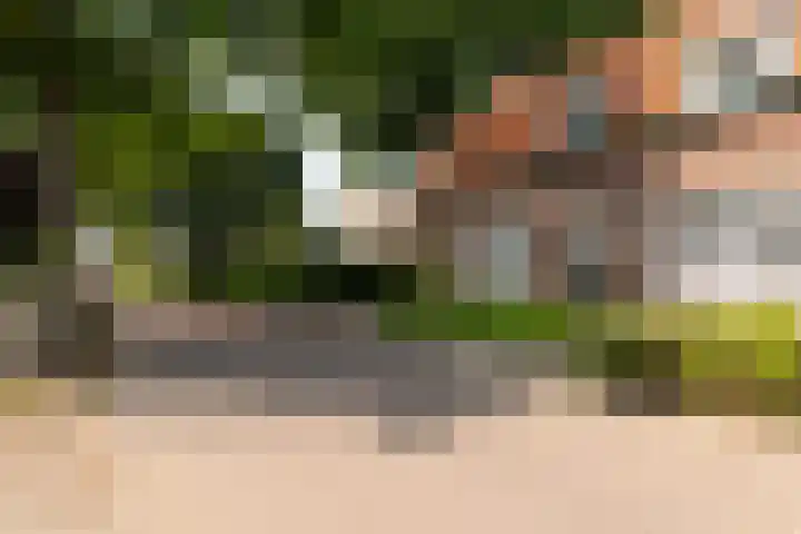 Hoogstraat 41 Echt thumbnail 70