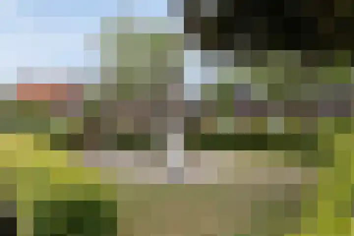 Hoogstraat 41 Veldhoven thumbnail 48