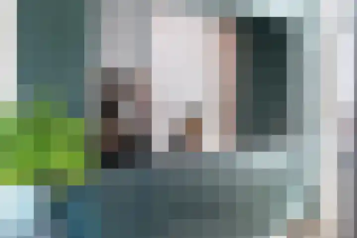 Hoogstraat 42 Eindhoven thumbnail 22
