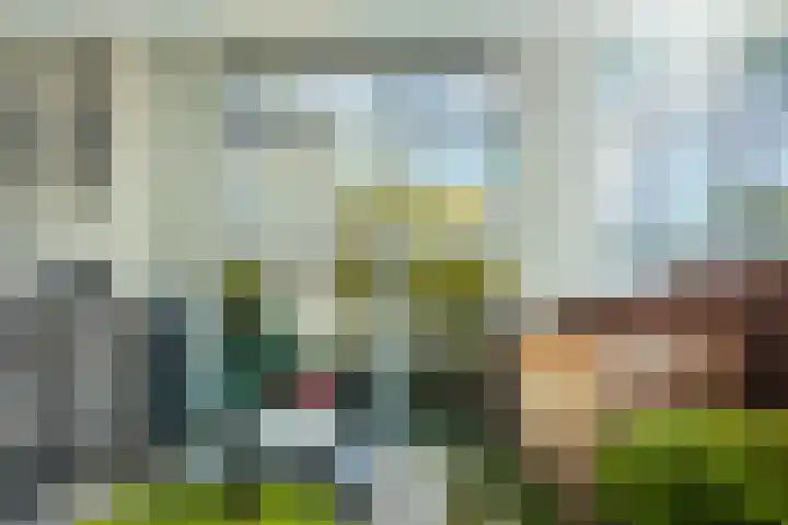 Hoogstraat 42 Eindhoven thumbnail 30