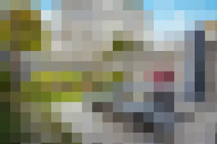 Hoogstraat 42 Eindhoven thumbnail 31