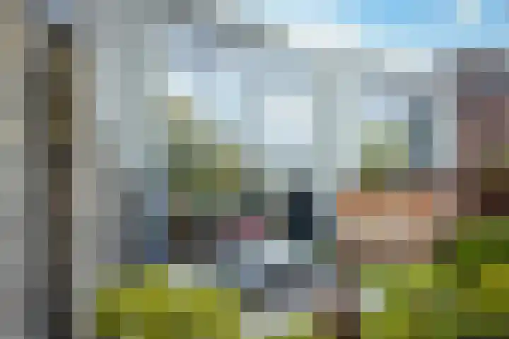 Hoogstraat 42 Eindhoven thumbnail 33