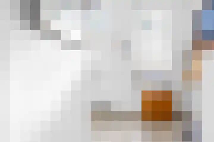 Hoogstraat 42 Eindhoven thumbnail 34