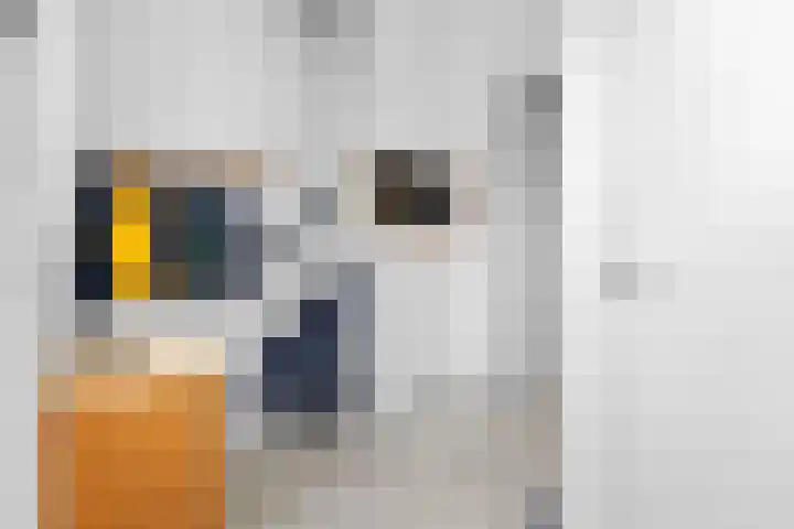Hoogstraat 42 Eindhoven thumbnail 37