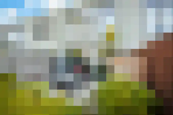 Hoogstraat 42 Eindhoven thumbnail 7