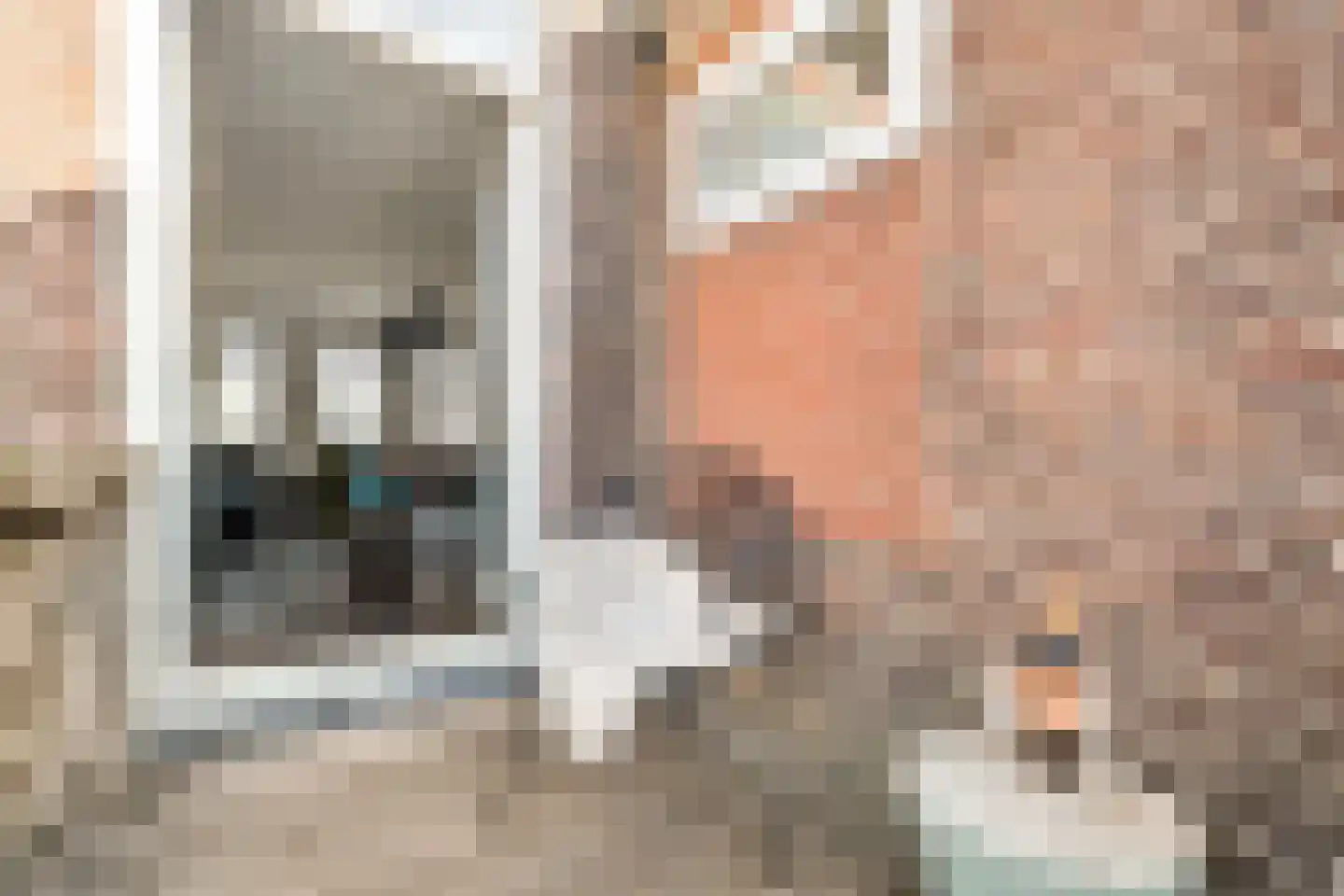 Hoogstraat 44 Den Helder thumbnail 12