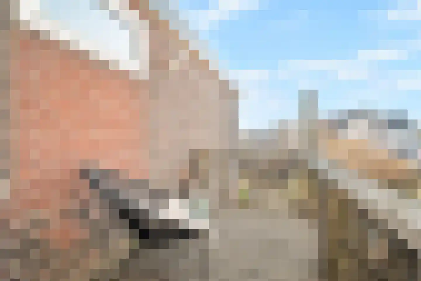 Hoogstraat 44 Den Helder thumbnail 13
