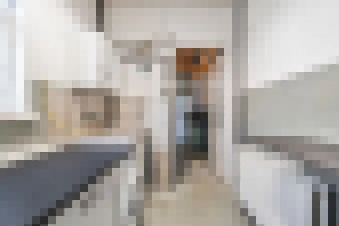 Hoogstraat 44 Den Helder thumbnail 30