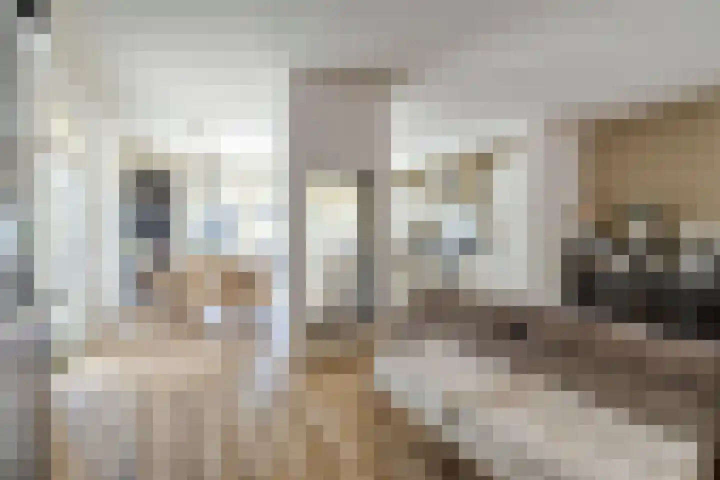Hoogstraat 44 Oosterhout thumbnail 11