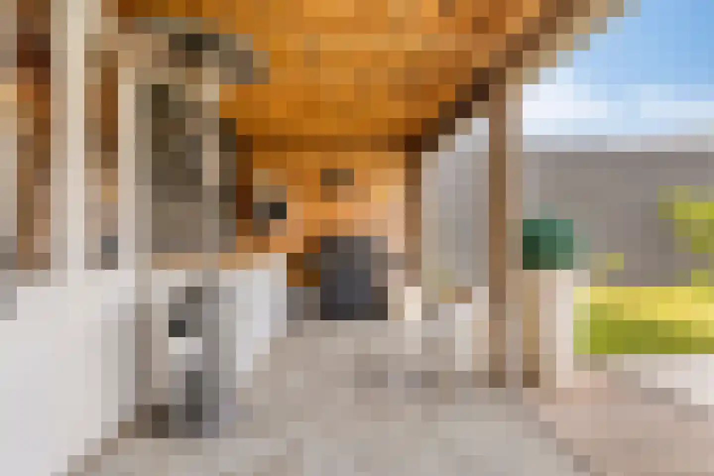Hoogstraat 44 Oosterhout thumbnail 45