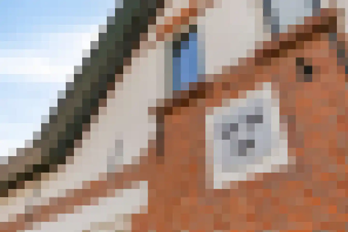 Hoogstraat 44 Oosterhout thumbnail 49
