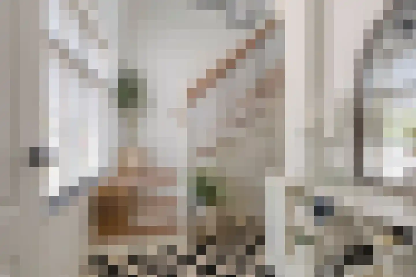 Hoogstraat 44 Oosterhout thumbnail 8