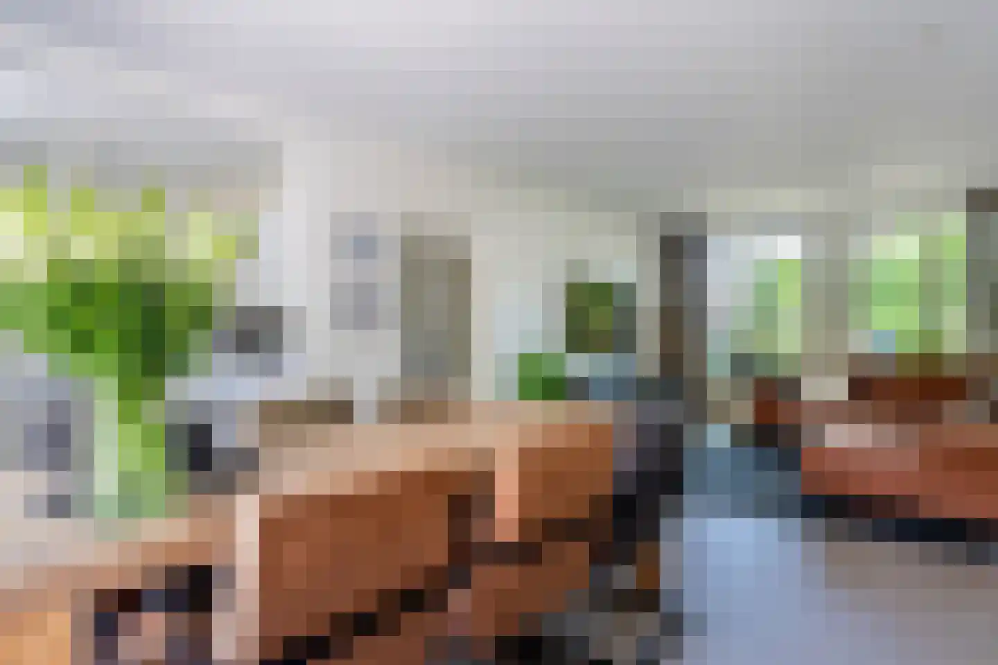 Hoogstraat 45 Heesch thumbnail 12