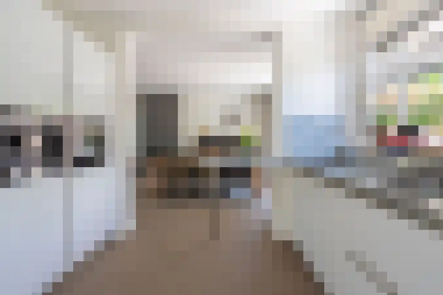 Hoogstraat 45 Heesch thumbnail 16