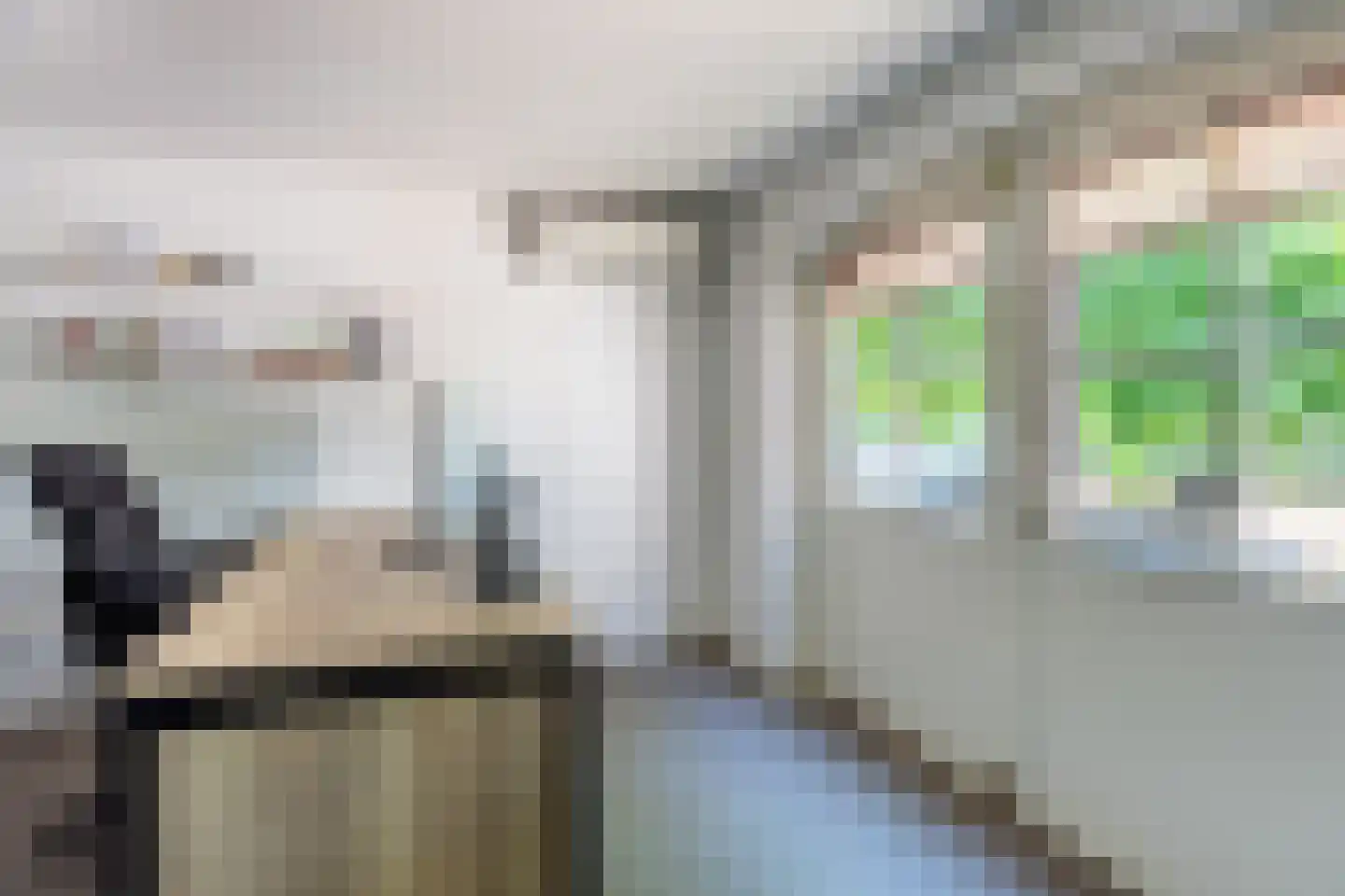 Hoogstraat 45 Heesch thumbnail 18