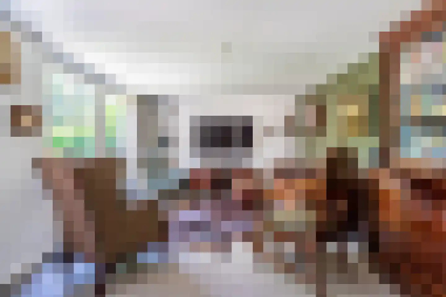 Hoogstraat 45 Heesch thumbnail 19
