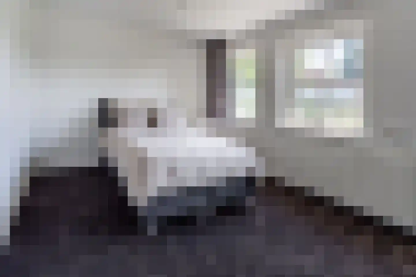 Hoogstraat 45 Heesch thumbnail 27