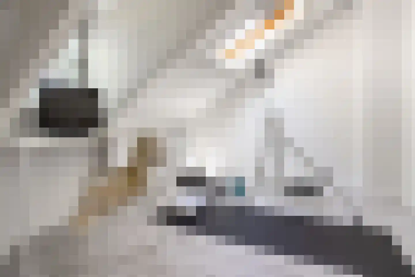 Hoogstraat 45 Heesch thumbnail 31