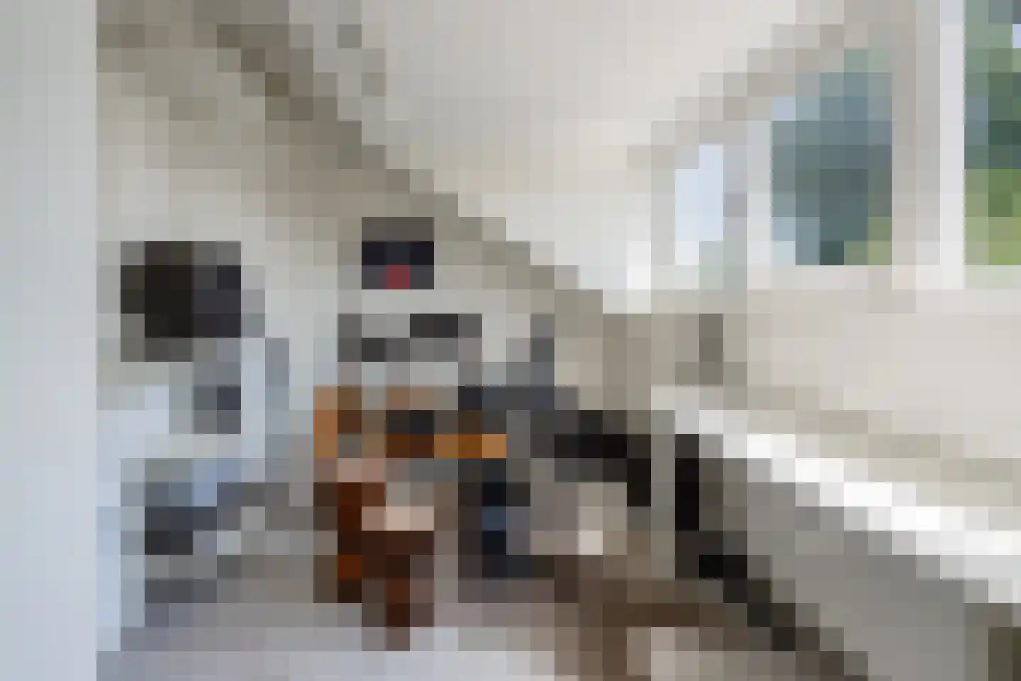 Hoogstraat 45 Heesch thumbnail 33