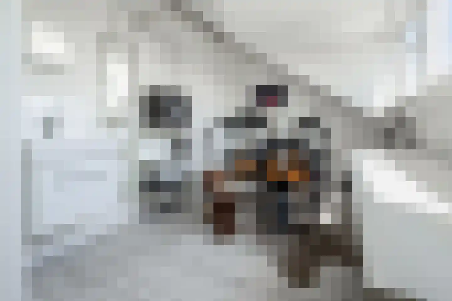 Hoogstraat 45 Heesch thumbnail 34