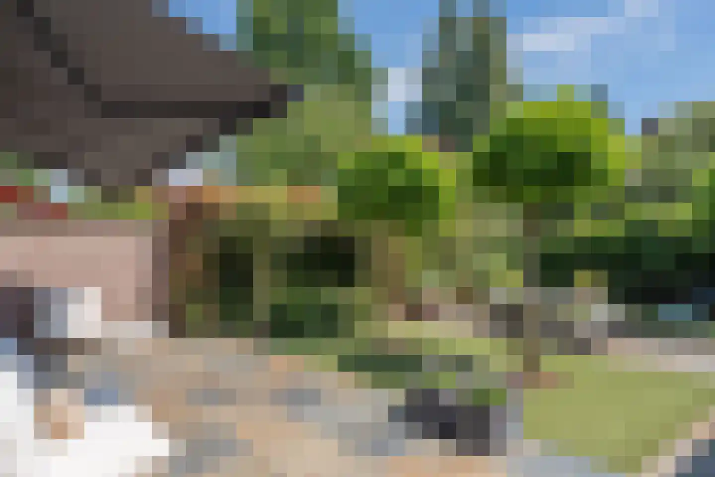 Hoogstraat 45 Heesch thumbnail 39
