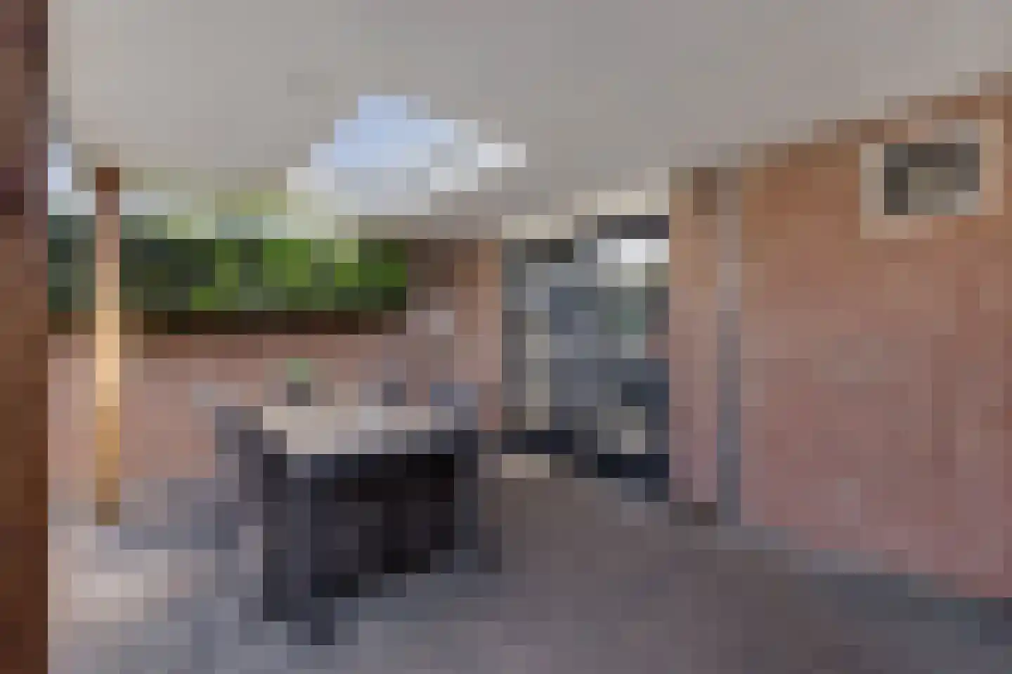 Hoogstraat 45 Veldhoven thumbnail 33